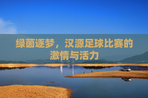 绿茵逐梦,汉源足球比赛的激情与活力