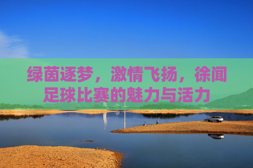 绿茵逐梦,激情飞扬,徐闻足球比赛的魅力与活力