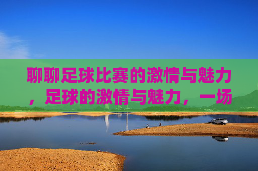 聊聊足球比赛的激情与魅力,足球的激情与魅力,一场关于热爱与力量的绿茵盛宴