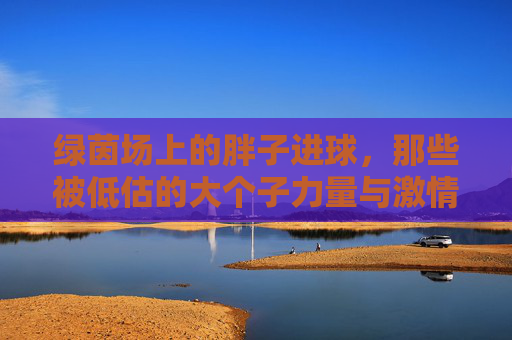 绿茵场上的胖子进球,那些被低估的大个子力量与激情,绿茵场上的胖子进球,被低估的大个子力量与激情