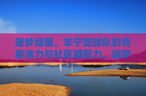 逐梦绿茵，丰宁足球队的青春活力与社区凝聚力，逐梦绿茵，丰宁足球队的青春活力与社区凝聚力
