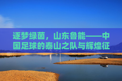 逐梦绿茵，山东鲁能——中国足球的泰山之队与辉煌征程，逐梦绿茵，山东鲁能——中国足球的泰山之队与辉煌征程