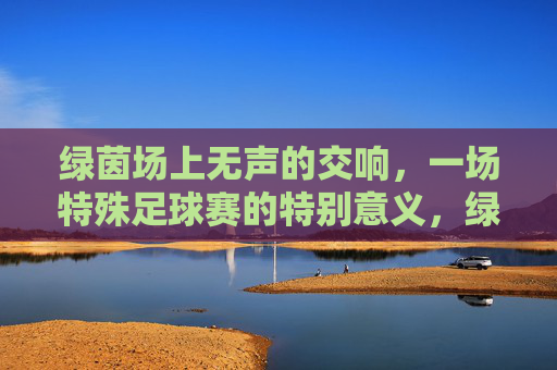 绿茵场上无声的交响，一场特殊足球赛的特别意义，绿茵场上无声的交响，一场特殊足球赛的特别意义