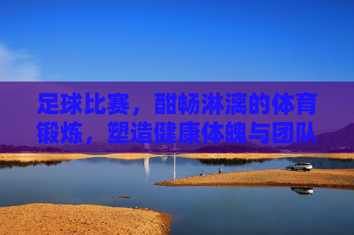 足球比赛，酣畅淋漓的体育锻炼，塑造健康体魄与团队精神，足球赛场燃激情，酣畅淋漓的锻炼，塑造健康体魄与团队精神