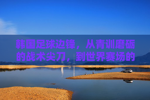 韩国足球边锋，从青训磨砺的战术尖刀，到世界赛场的精神图腾，韩国足球边锋，从青训磨砺的战术尖刀到世界赛场的精神图腾