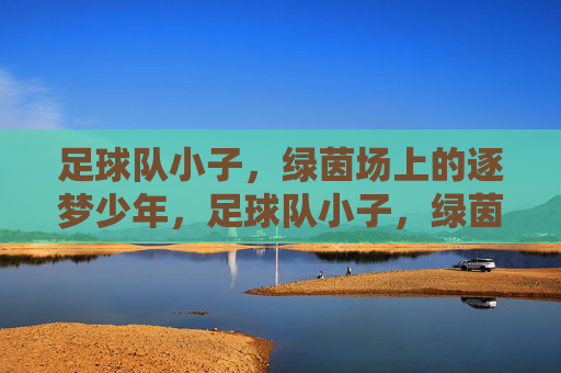 足球队小子,绿茵场上的逐梦少年,足球队小子,绿茵场上的逐梦少年