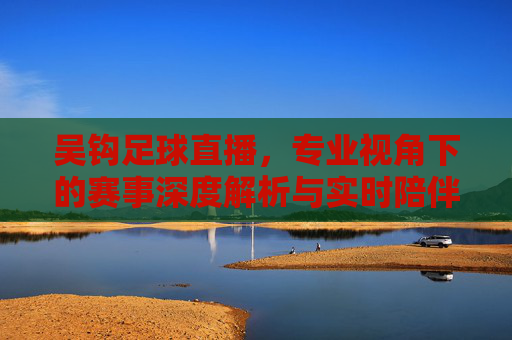 吴钩足球直播，专业视角下的赛事深度解析与实时陪伴，吴钩足球直播，专业视角下的赛事深度解析与实时陪伴