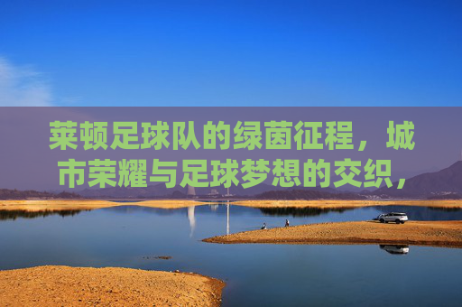莱顿足球队的绿茵征程，城市荣耀与足球梦想的交织，莱顿足球队的绿茵征程，城市荣耀与足球梦想的交织