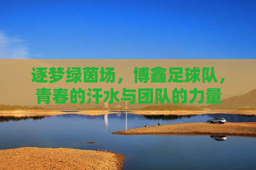 逐梦绿茵场，博鑫足球队，青春的汗水与团队的力量