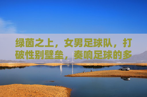 绿茵之上,女男足球队,打破性别壁垒,奏响足球的多元乐章