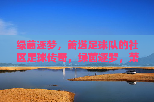 绿茵逐梦,萧塔足球队的社区足球传奇,绿茵逐梦,萧塔足球队的社区足球传奇
