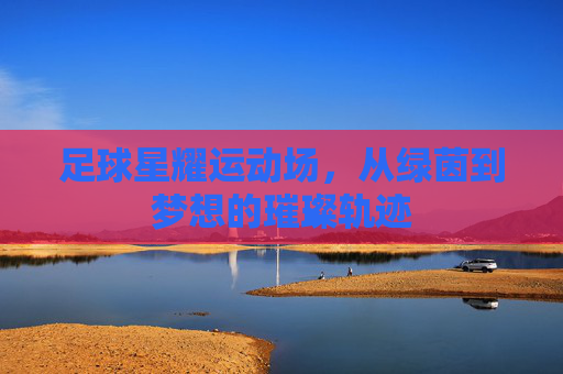 足球星耀运动场，从绿茵到梦想的璀璨轨迹