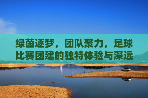 绿茵逐梦，团队聚力，足球比赛团建的独特体验与深远影响
