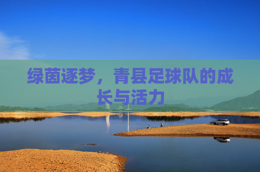 绿茵逐梦,青县足球队的成长与活力
