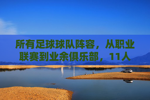 所有足球球队阵容，从职业联赛到业余俱乐部，11人制阵容的构成、特点与战术应用解析