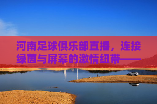 河南足球俱乐部直播，连接绿茵与屏幕的激情纽带——球迷共赴线上足球盛宴，共筑俱乐部未来