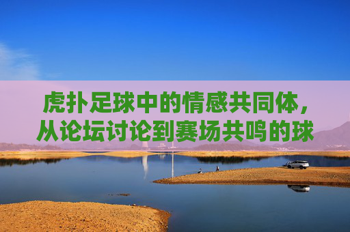 虎扑足球中的情感共同体,从论坛讨论到赛场共鸣的球迷文化