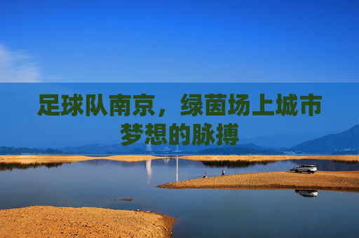 足球队南京，绿茵场上城市梦想的脉搏