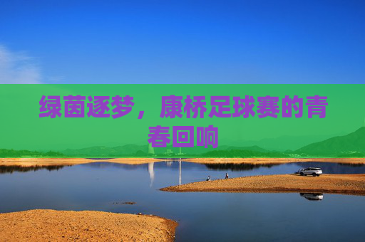 绿茵逐梦，康桥足球赛的青春回响