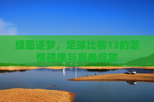 绿茵逐梦,足球比赛13的激情碰撞与青春绽放