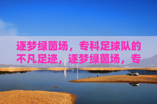 逐梦绿茵场，专科足球队的不凡足迹，逐梦绿茵场，专科足球队的不凡足迹