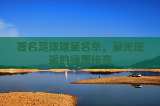著名足球球星名单，星光璀璨的绿茵传奇