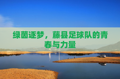 绿茵逐梦,藤县足球队的青春与力量