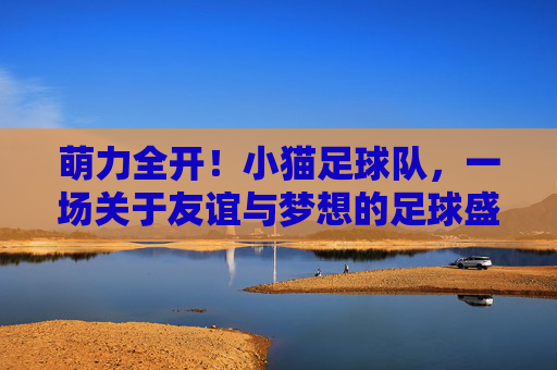 萌力全开！小猫足球队，一场关于友谊与梦想的足球盛宴