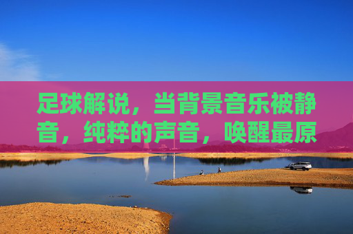 足球解说，当背景音乐被静音，纯粹的声音，唤醒最原始的激情与共鸣