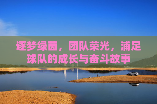 逐梦绿茵，团队荣光，浦足球队的成长与奋斗故事