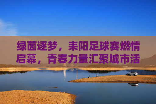 绿茵逐梦,耒阳足球赛燃情启幕,青春力量汇聚城市活力
