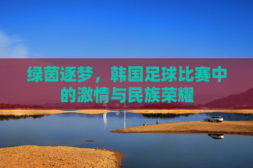 绿茵逐梦,韩国足球比赛中的激情与民族荣耀