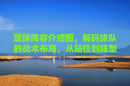 足球阵容介绍图,解码球队的战术布局,从站位到阵型的战略艺术