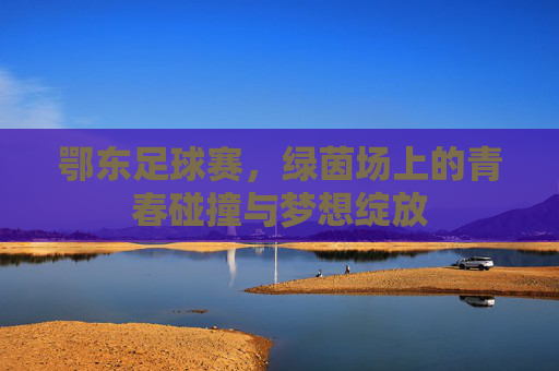 鄂东足球赛,绿茵场上的青春碰撞与梦想绽放