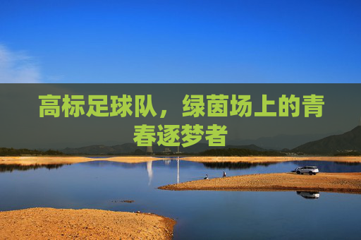 高标足球队,绿茵场上的青春逐梦者