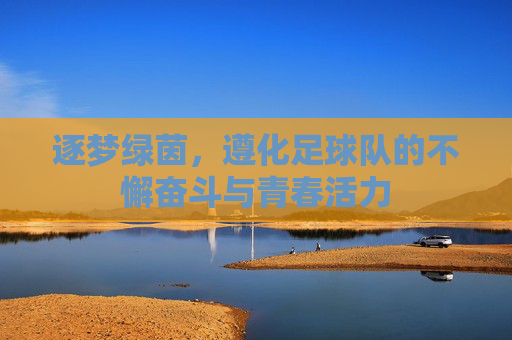 逐梦绿茵，遵化足球队的不懈奋斗与青春活力