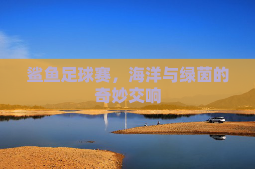 鲨鱼足球赛，海洋与绿茵的奇妙交响