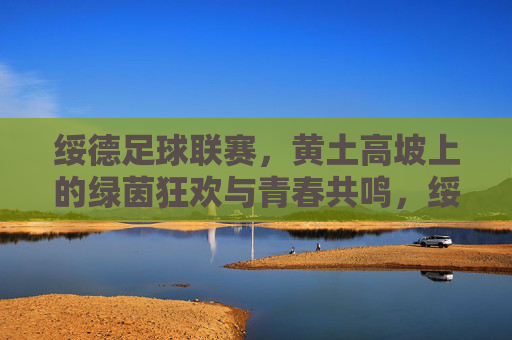 绥德足球联赛,黄土高坡上的绿茵狂欢与青春共鸣,绥德足球联赛,黄土高坡上的绿茵狂欢与青春共鸣