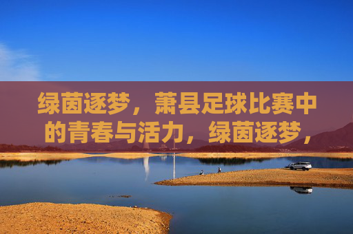 绿茵逐梦,萧县足球比赛中的青春与活力,绿茵逐梦,萧县足球比赛中的青春与活力