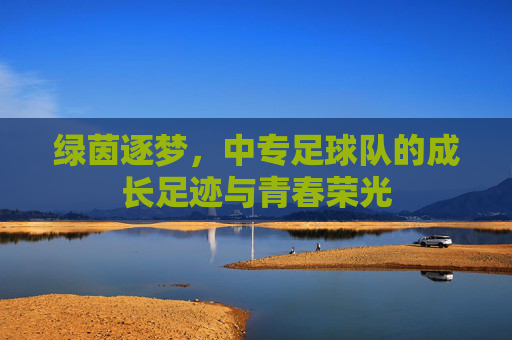 绿茵逐梦,中专足球队的成长足迹与青春荣光