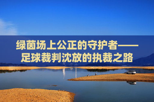 绿茵场上公正的守护者——足球裁判沈放的执裁之路