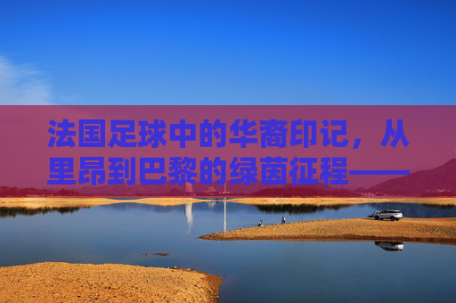 法国足球中的华裔印记,从里昂到巴黎的绿茵征程——记华裔球员张玉宁的法兰西绿茵故事