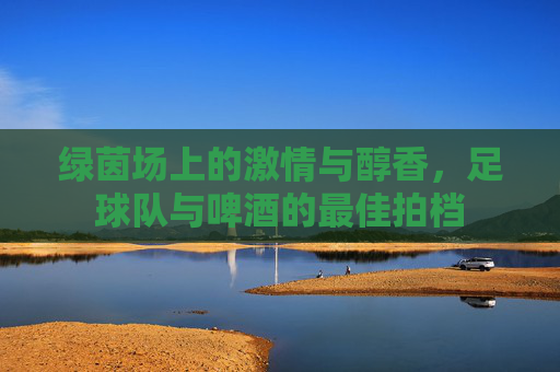 绿茵场上的激情与醇香，足球队与啤酒的最佳拍档