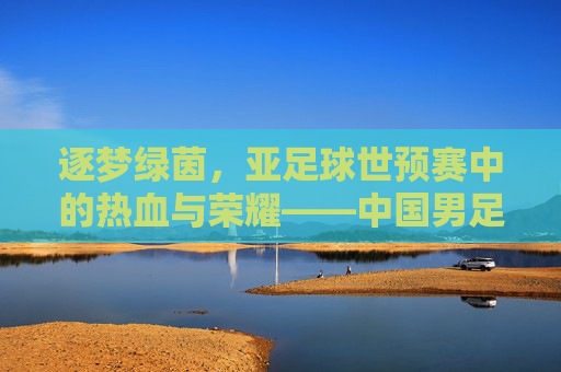 逐梦绿茵，亚足球世预赛中的热血与荣耀——中国男足的征途与挑战