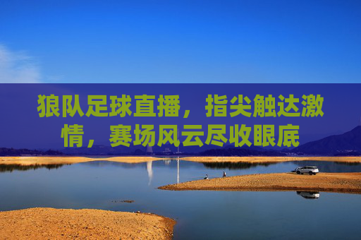 狼队足球直播，指尖触达激情，赛场风云尽收眼底