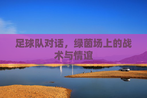 足球队对话，绿茵场上的战术与情谊
