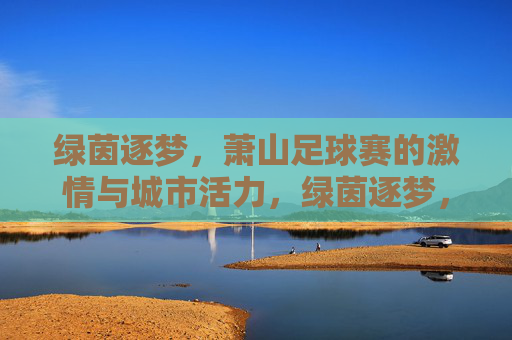 绿茵逐梦，萧山足球赛的激情与城市活力，绿茵逐梦，萧山足球赛的激情与城市活力