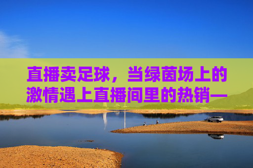 直播卖足球，当绿茵场上的激情遇上直播间里的热销——揭秘足球商品直播的崛起与机遇，直播卖足球，当绿茵场上的激情遇上直播间里的热销——揭秘足球商品直播的崛起与机遇