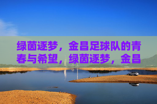 绿茵逐梦,金昌足球队的青春与希望,绿茵逐梦,金昌足球队的青春与希望