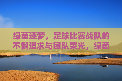 绿茵逐梦，足球比赛战队的不懈追求与团队荣光，绿茵逐梦，足球比赛战队的不懈追求与团队荣光